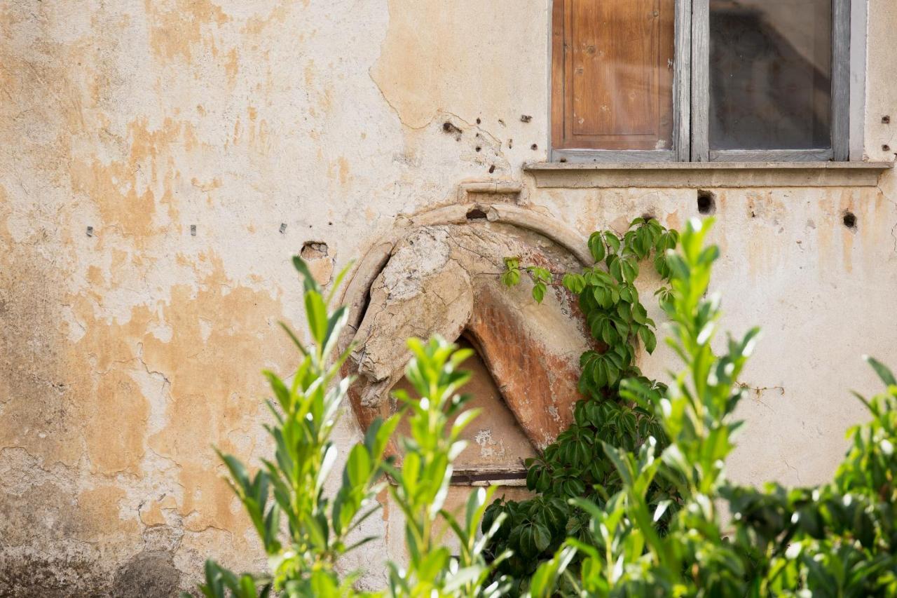Apartamento Domus Festina Lente Orvieto Exterior foto